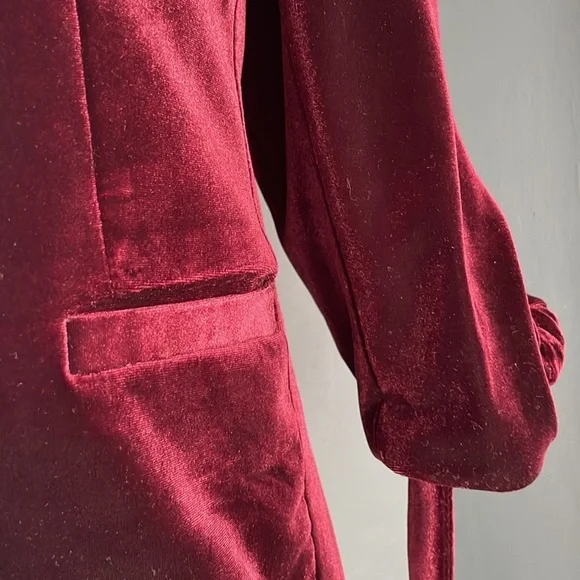 Renuar Burgundy Blazer - Picture 4 of 7